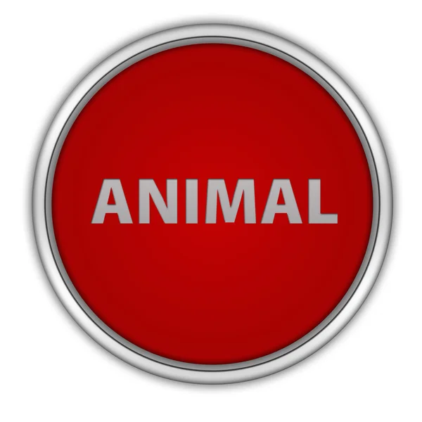 Круговая иконка животного на белом фоне — стоковое фото