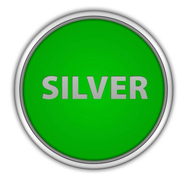 Ícone circular de prata no fundo branco — Fotografia de Stock