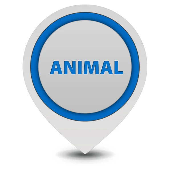 Tier-Zeiger-Symbol auf weißem Hintergrund — Stockfoto
