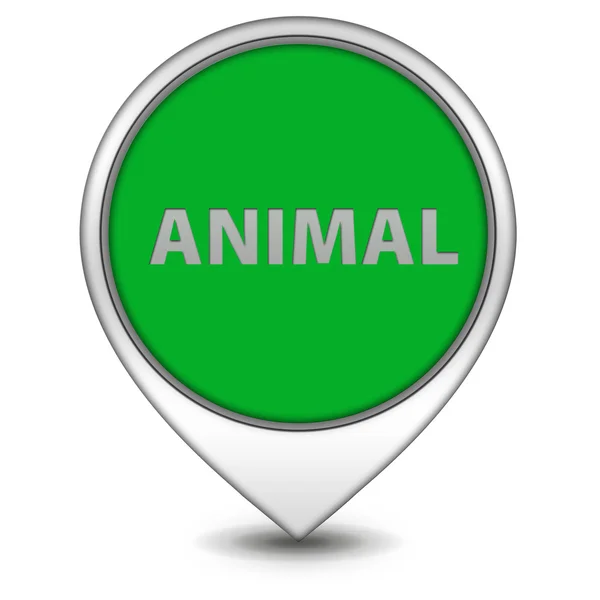 Icono de puntero animal sobre fondo blanco —  Fotos de Stock