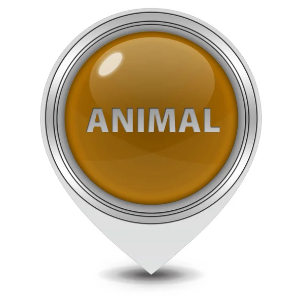 Ikona wskaźnika zwierząt na białym tle — Zdjęcie stockowe