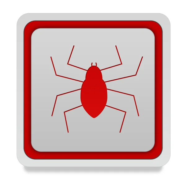 Spider square icon on white background — Stock Photo, Image