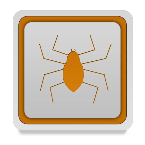 Spider square icon on white background — Stock Photo, Image