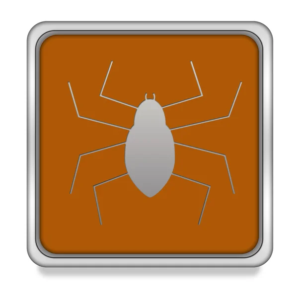 Spider square icon on white background — Stock Photo, Image