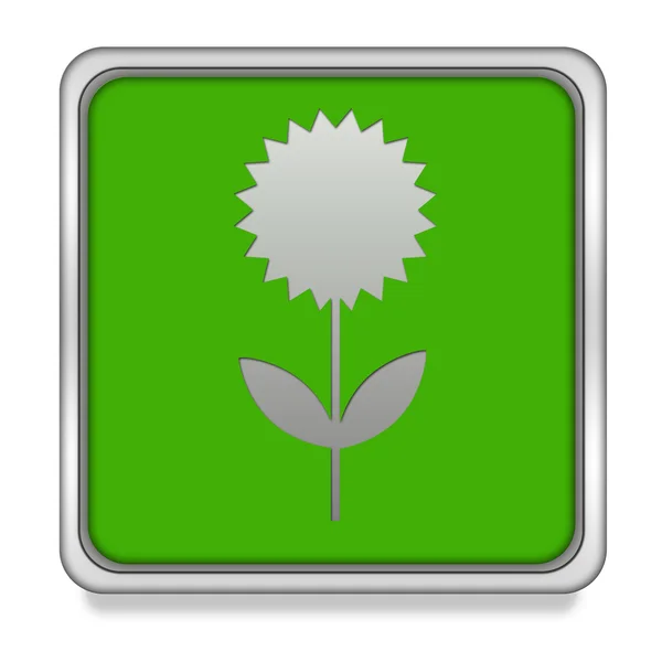 Flower square icon on white background — Stock Photo, Image