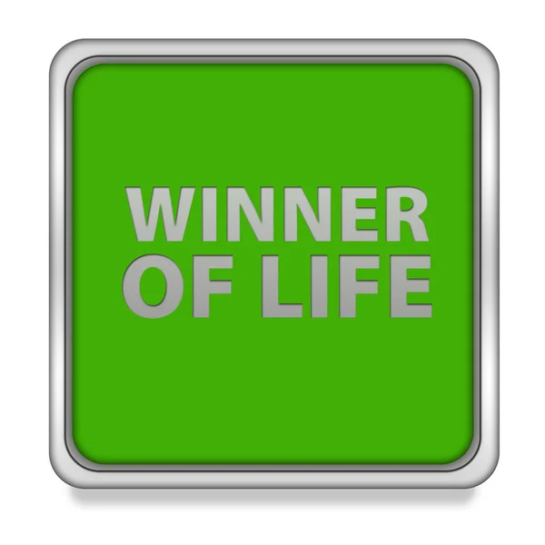 Winner of life square icon on white background — Stock Photo, Image