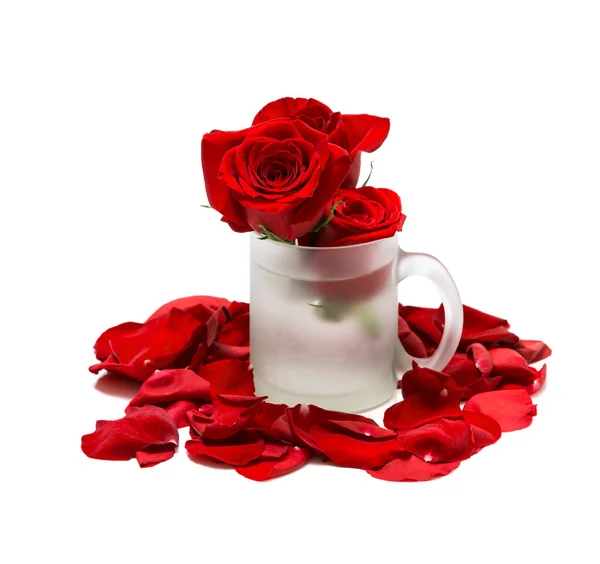 Cup and red roses in petals isolated on white — Stock Photo, Image