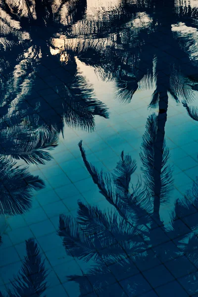 Отражение пальм в голубом бассейне на закате — стоковое фото