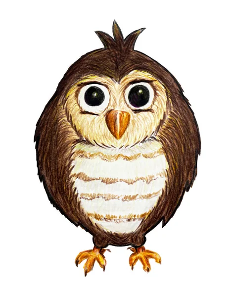 Маленький малюнок сови кольоровими олівцями, намальована вручну ілюстрація — стокове фото