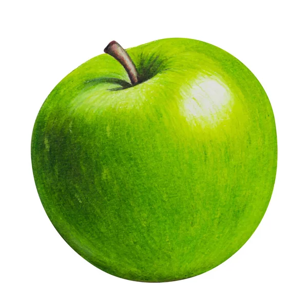 Manzana verde pintoresca madura - dibujo con lápices de colores ilustración pintada a mano. — Vector de stock