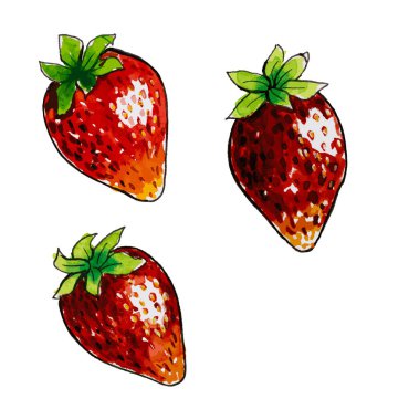 Yapraklı suluboya çilek beyaz arkaplanda izole edilmiş yakın plan