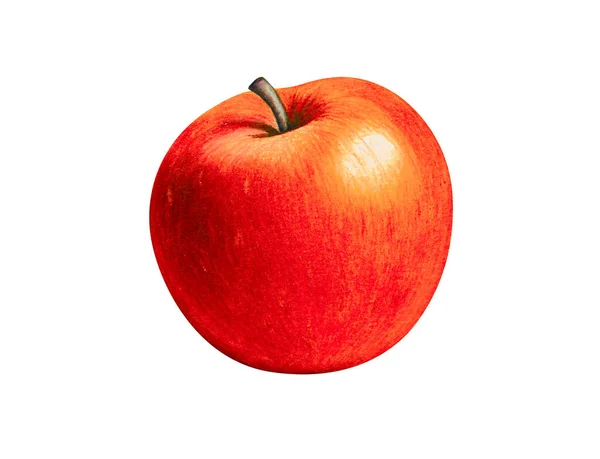 Manzana roja pintoresca madura - dibujo con lápices de colores ilustración pintada a mano. aislado en fondo blanco con ruta de recorte para facilitar su uso — Foto de Stock
