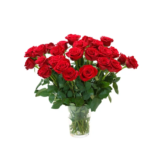 Bouquet of blossoming dark red roses in vase isolated on white background Royalty Free Stock Images