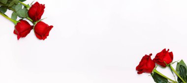 Beyaz arkaplanda izole edilmiş koyu kırmızı güllerin çerçevesi