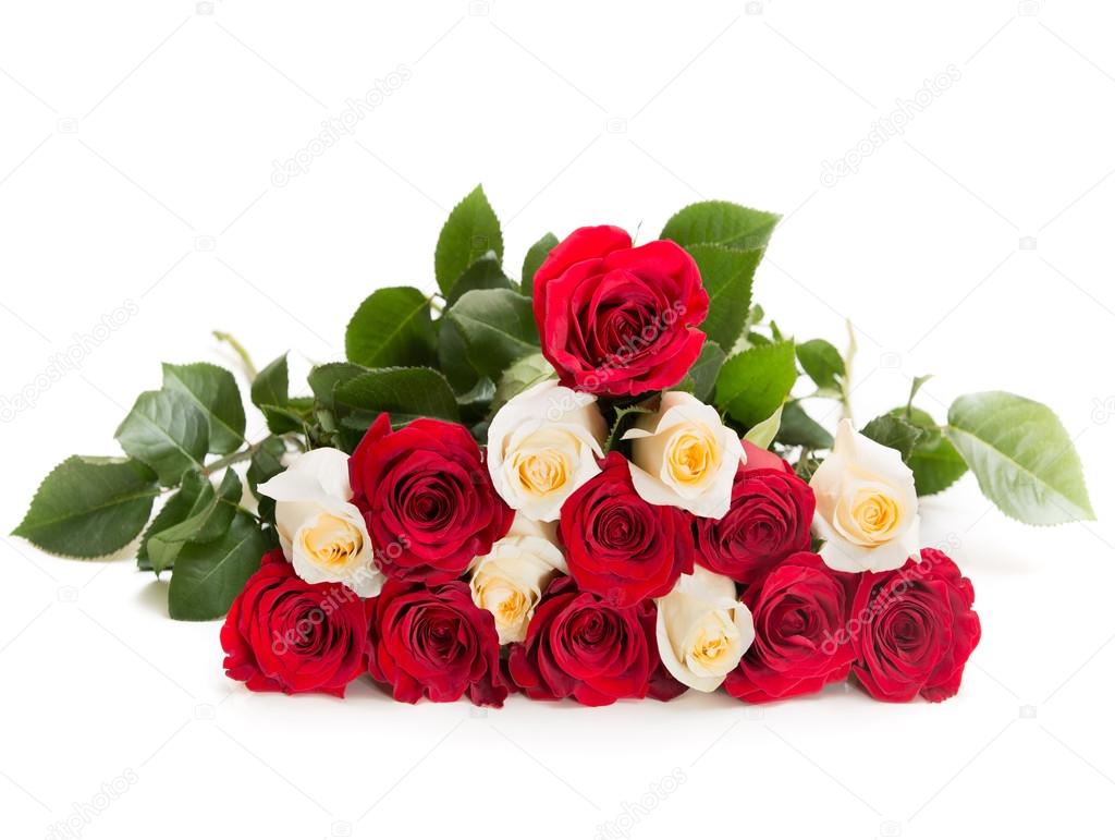 Triangle of red and white rose