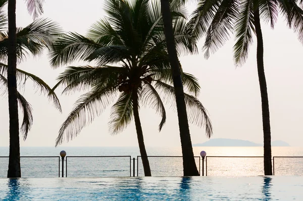 Piscina, palmeras, mar y puesta de sol — Foto de Stock