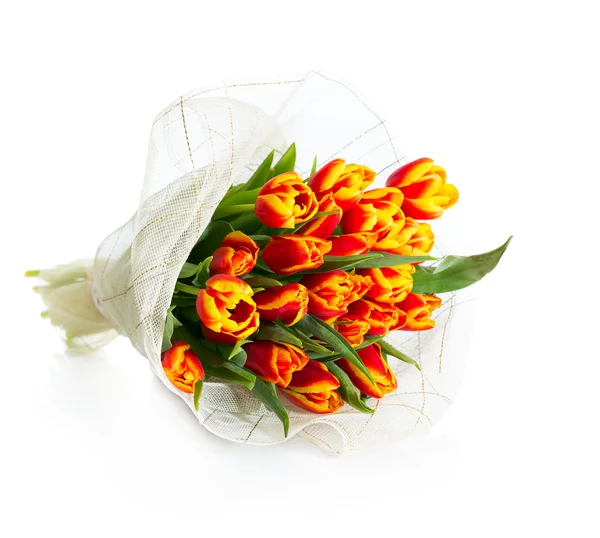 Bouquet of orange tulips — Stock Photo, Image