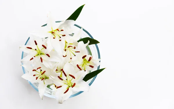 Flores de lirios blancos en un tazón redondo — Foto de Stock