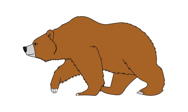 Unikalny Słodkie Duży Niedźwiedź Brązowy Postać Kreskówki — Wektor stockowy