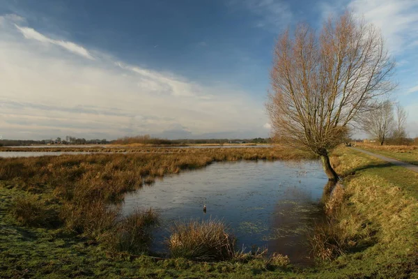 Uitzicht Kolhamster Westerpolder Groningen — Fotografia de Stock