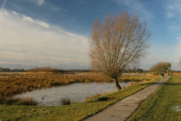 Reserva Natural Holanda — Fotografia de Stock