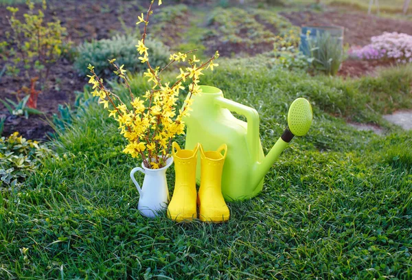 green watering can, yellow boots, beautiful yellow flowers in a white vase stand on the green grass,