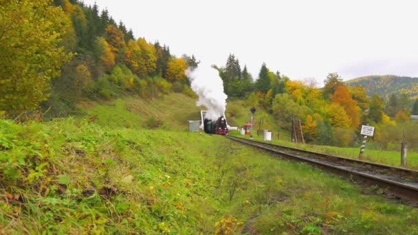 Tren de vapor viejo en movimiento — Vídeo de stock