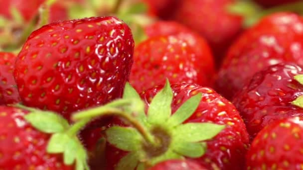 Fragole rosse Ruota . — Video Stock