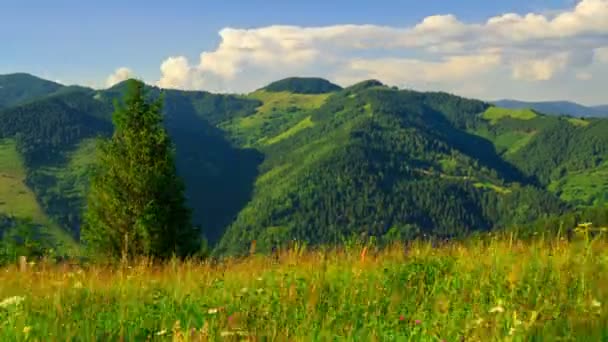 Paisaje de montaña con nubes — Vídeo de stock