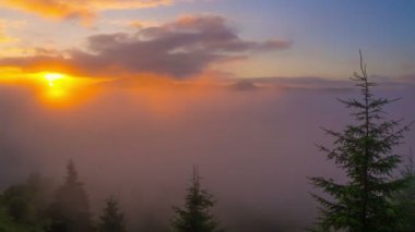 Sunrise Karpat Dağları.