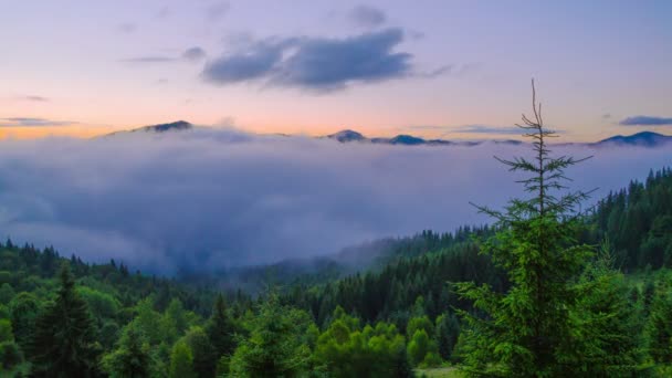 Lever de soleil dans les montagnes carpates . — Video