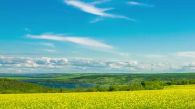 Mavi Gök 'ün altında kabarık bulutlu çiçek açan bir tecavüz tohumu tarlası. Zaman Uygulaması.