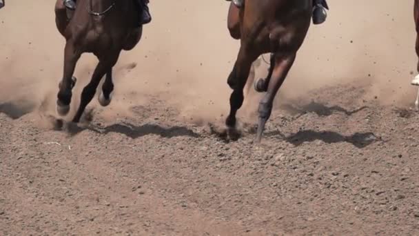 Yarışı Toz Kir Yükselterek Yarış Pisti Atların Ayakları Yakın Çekim — Stok video