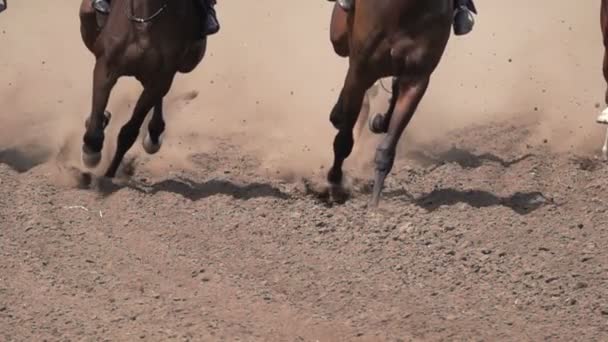 ほこりや汚れを上げる競馬場で馬のフィート クローズ アップ スローモーション — ストック動画