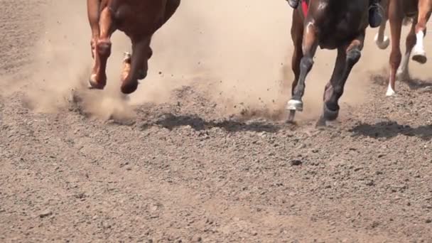 赛马场上的马脚扬尘和污垢 慢动作 — 图库视频影像