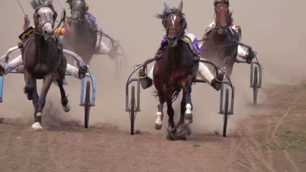 Horse Racing Close Wagons Hooves Running Horse Slow Motion — Stock Video