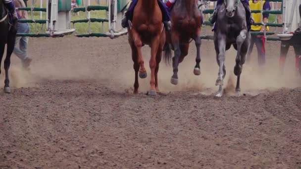 Début Des Courses Chevaux Horses Jockeys Racetrack Raising Dust Dirt — Video
