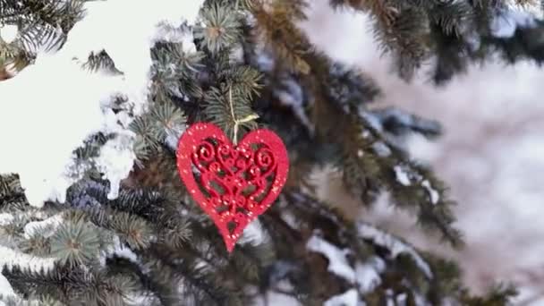 Ель ветви со снегом и сердцем — стоковое видео