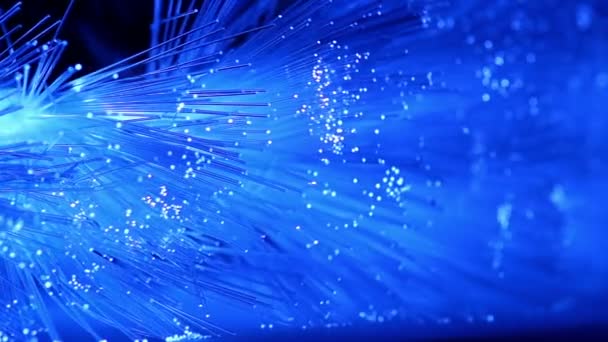 Luces azules de Navidad de la fibra — Vídeo de stock