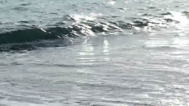 As ondas rolaram na costa arenosa — Vídeo de Stock