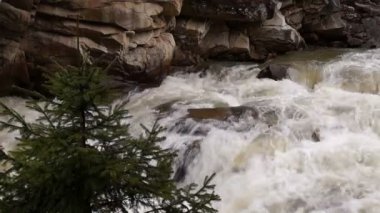 Şelaleli dağ deresi