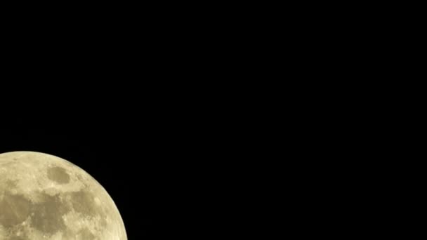 Великий повний золотий місяць — стокове відео
