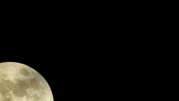 Grote volledige gouden maan in wolken — Stockvideo