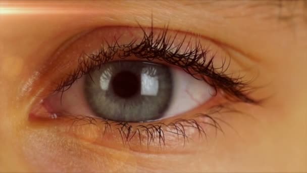 Eye Blinks and Looks Around — Stock Video