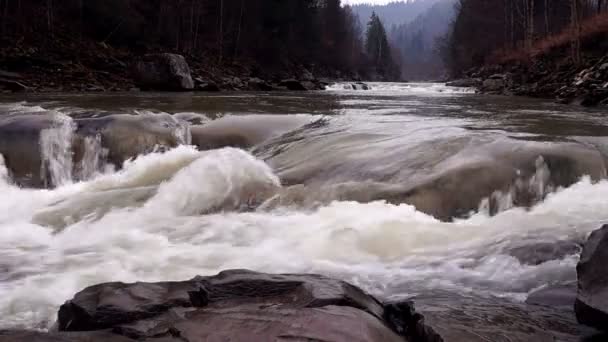 Corso d'acqua di un torrente di montagna — Video Stock