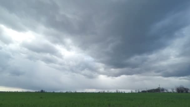 Dunkle Wolken ziehen über das grüne Feld — Stockvideo