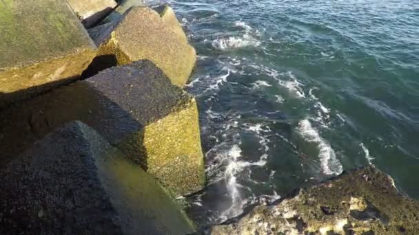 Surf en el rompeolas — Vídeo de stock