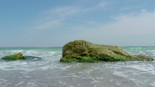 Olas marinas rompiendo en la piedra — Vídeos de Stock