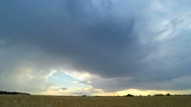 Bir buğday alan üzerinde gökyüzü günbatımı