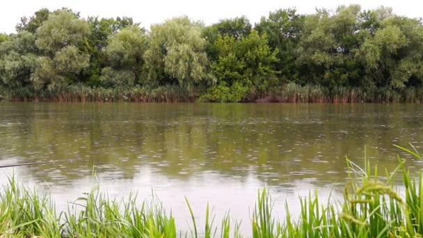 Pluie sur la rivière